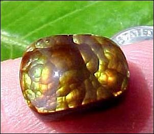 FIRE AGATE CABOCHON (U.S.A.) – 5.14 ct.  (All uses, N)