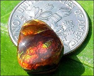 FIRE AGATE CABOCHON (USA) – 5.28+ Ct.  (All uses, N)