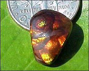 firecab29e.JPG
